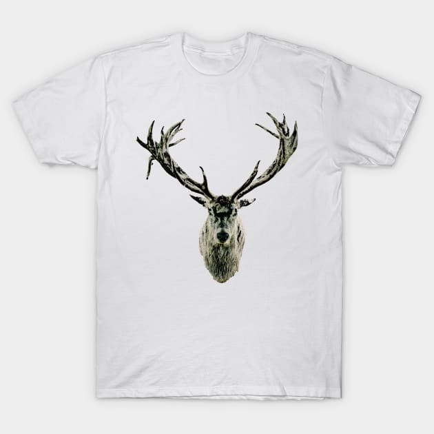 The Stag T-Shirt by Shirasaya